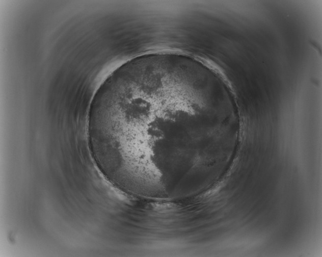 X0000100351231200806061107