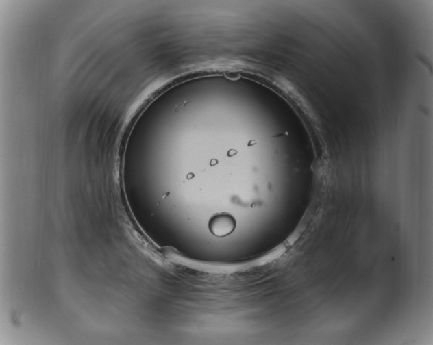 X0000100351232200806061107