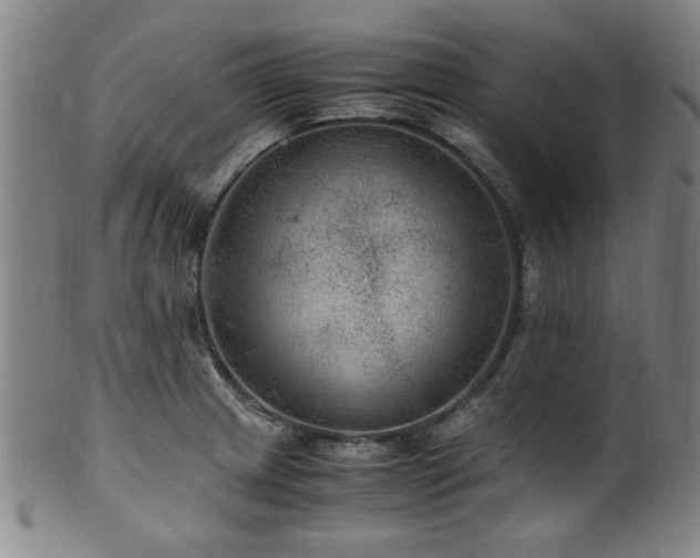 X0000100351233200806061107