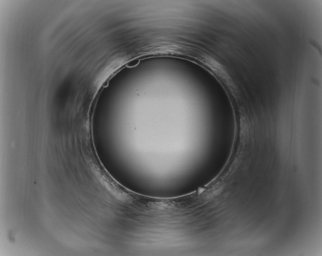 X0000100351234200806061107