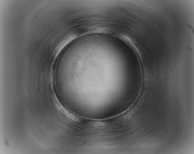 X0000100351235200806061107