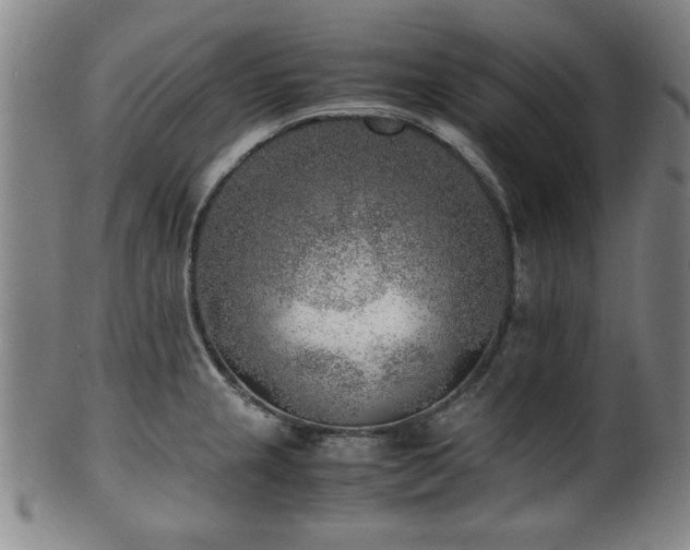 X0000100351237200806061107