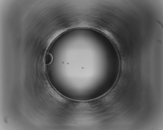 X0000100351238200806061107