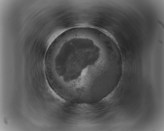 X0000100351239200806061107