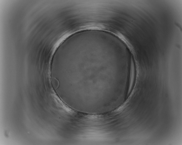 X0000100351240200806061107