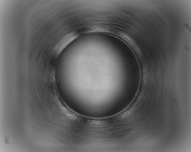 X0000100351241200806061107