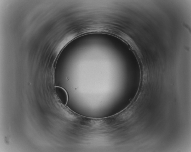 X0000100351242200806061107