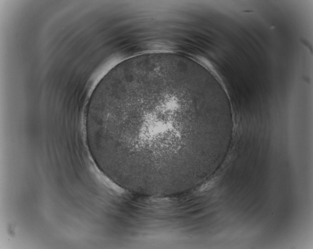 X0000100351243200806061107