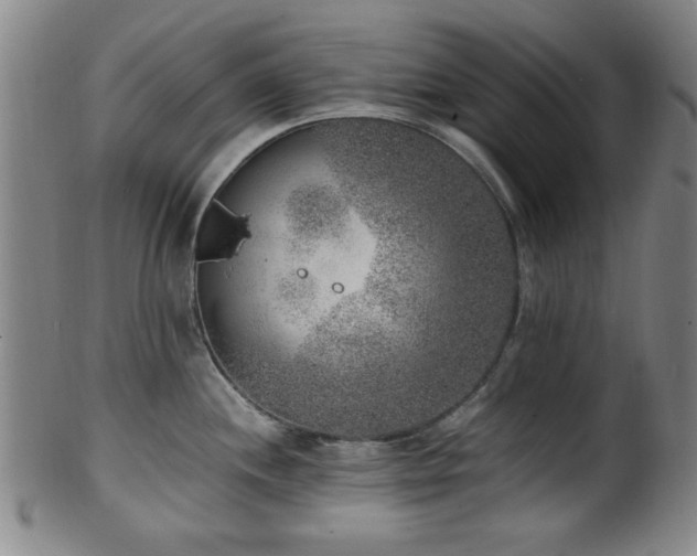 X0000100351244200806061107
