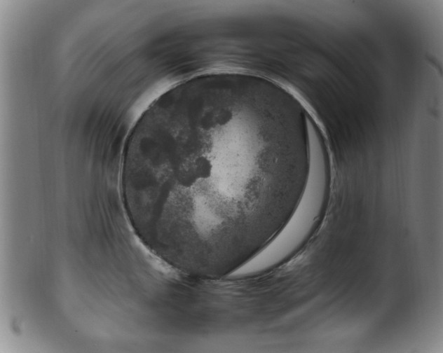 X0000100351245200806061107