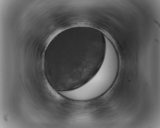 X0000100351246200806061107