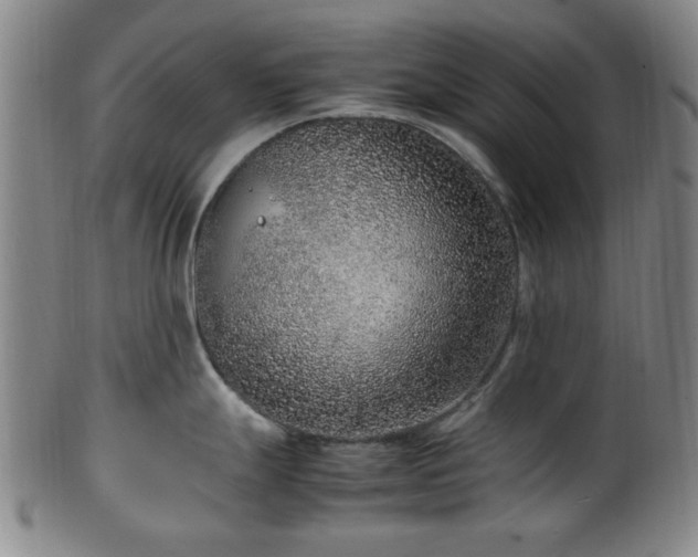 X0000100351247200806061107