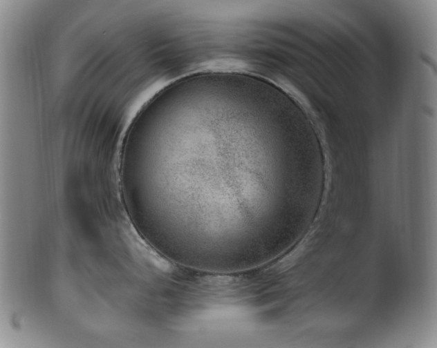 X0000100351248200806061107