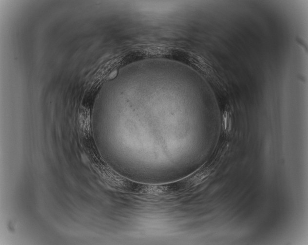 X0000100351251200806061106