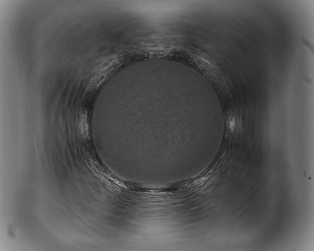 X0000100351252200806061106