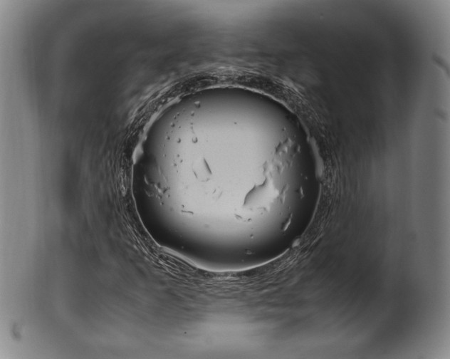 X0000100351253200806061106