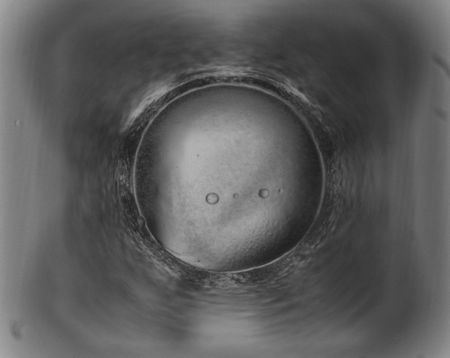 X0000100351255200806061106
