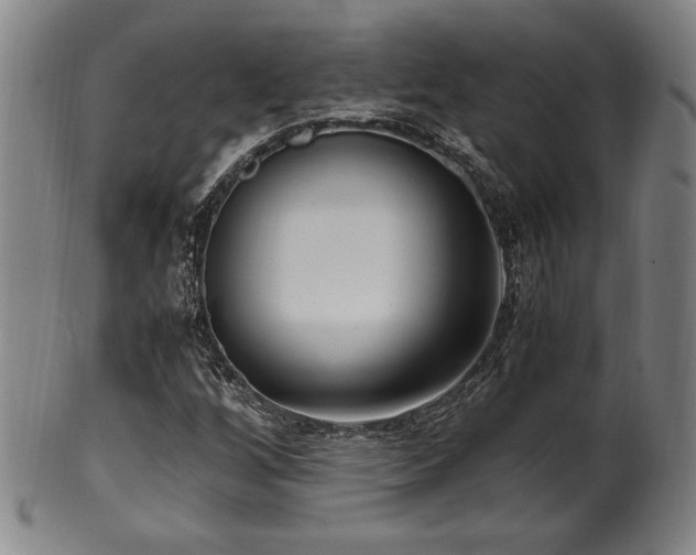 X0000100351256200806061106