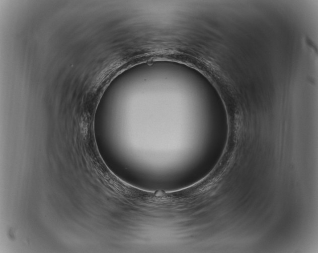 X0000100351257200806061106