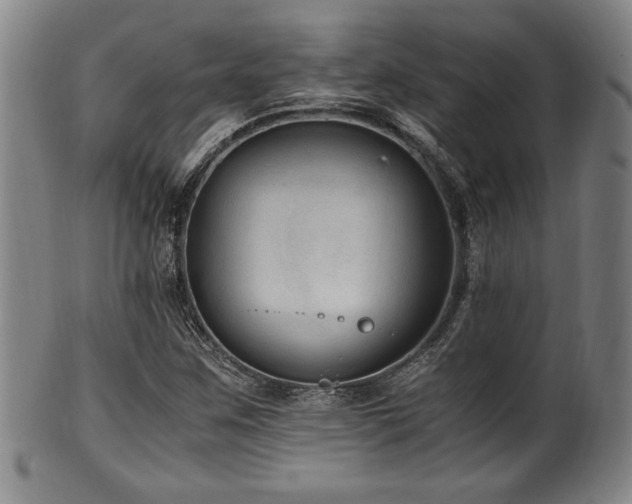 X0000100351259200806061106