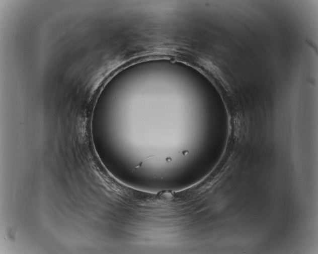X0000100351260200806061106