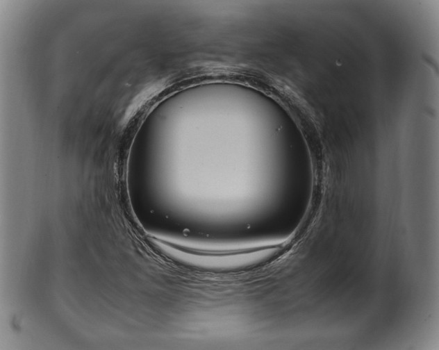 X0000100351261200806061106