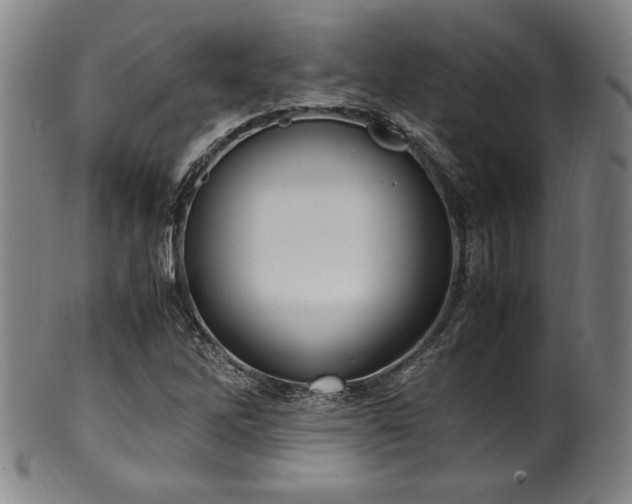 X0000100351262200806061106
