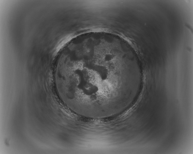 X0000100351263200806061106