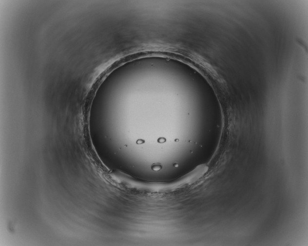 X0000100351264200806061106