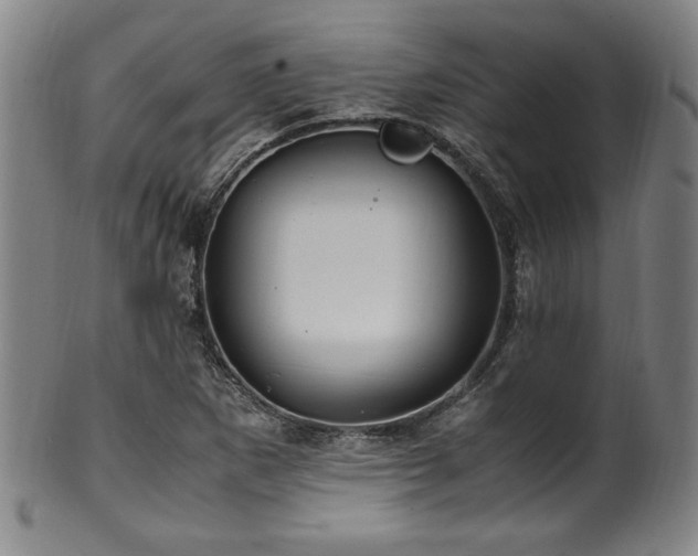 X0000100351265200806061106