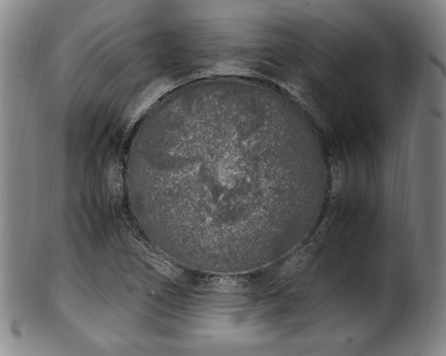 X0000100351266200806061106