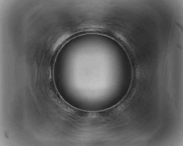 X0000100351267200806061106