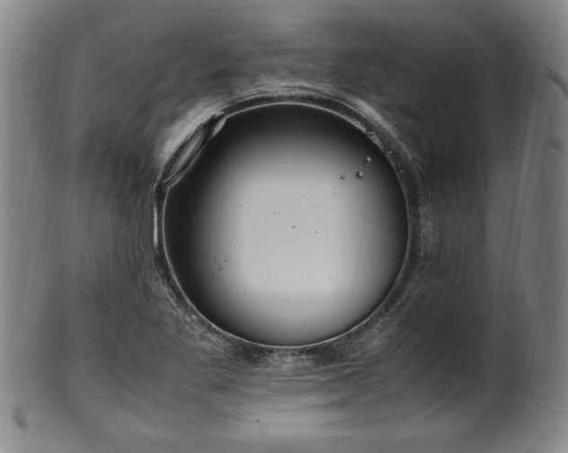 X0000100351269200806061106