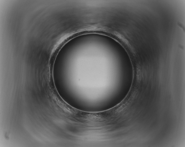 X0000100351270200806061106