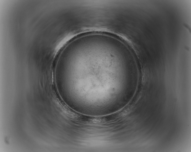 X0000100351271200806061106