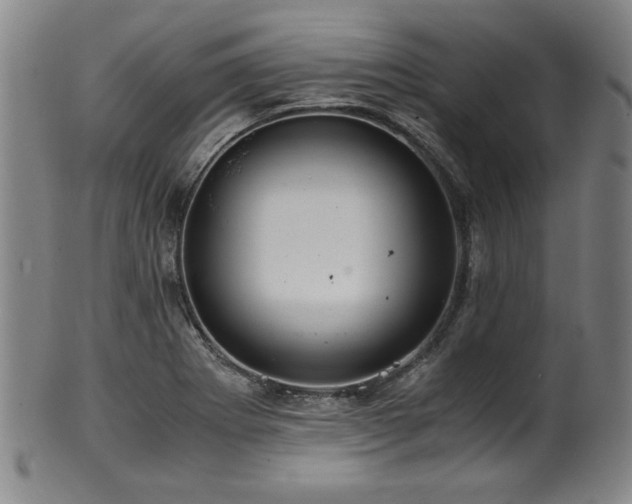 X0000100351273200806061106