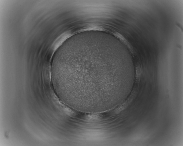 X0000100351274200806061106