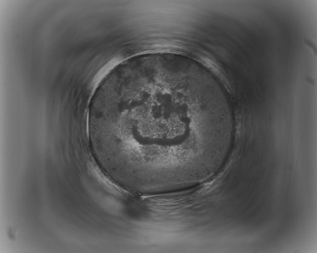 X0000100351275200806061106