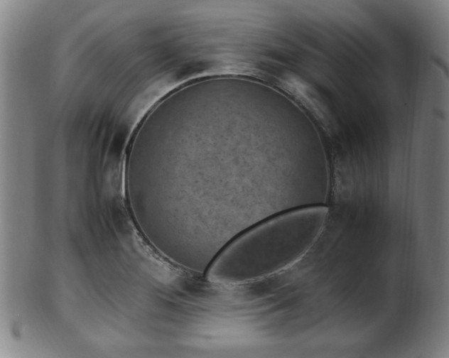 X0000100351276200806061106