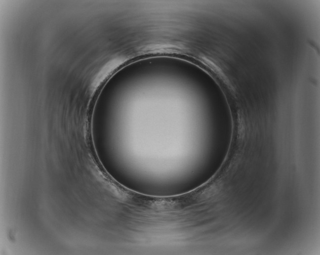X0000100351277200806061106