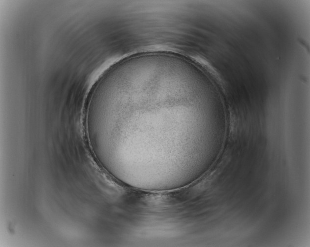 X0000100351278200806061106