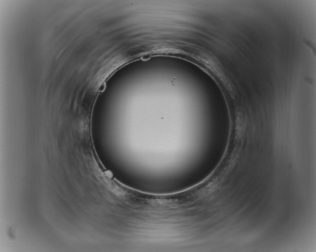 X0000100351281200806061106