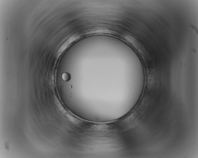 X0000100351282200806061106