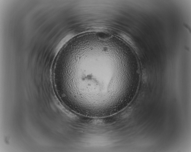 X0000100351283200806061106