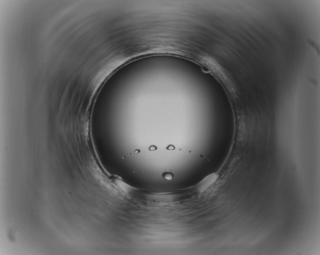 X0000100351284200806061106