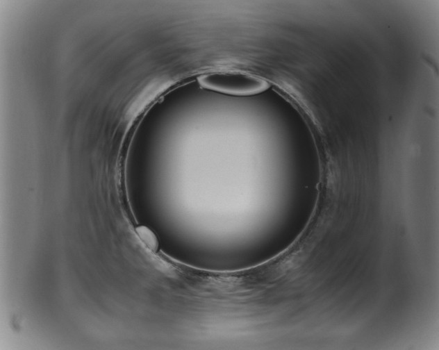 X0000100351285200806061106