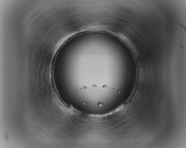 X0000100351288200806061106