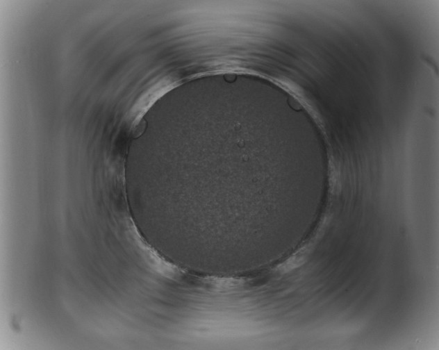 X0000100351289200806061105