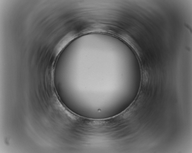 X0000100351290200806061105