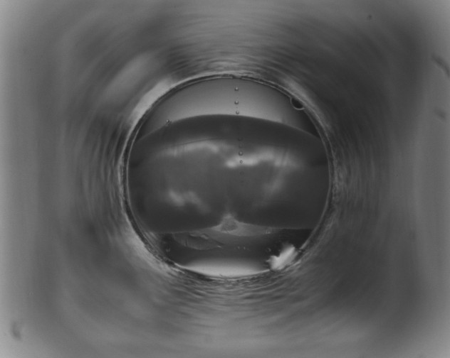 X0000100351291200806061105